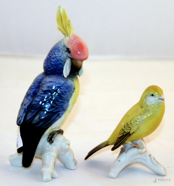 Lotto di un papagallo ed un canarino in porcellana Capodimonte, h.19/ h11 cm 