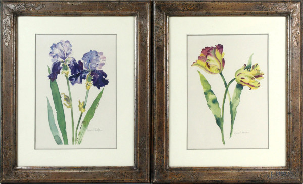 Annabel  Fairfax - Coppia di stampe colorate raffiguranti fiori, cm 28x20, entro cornici.