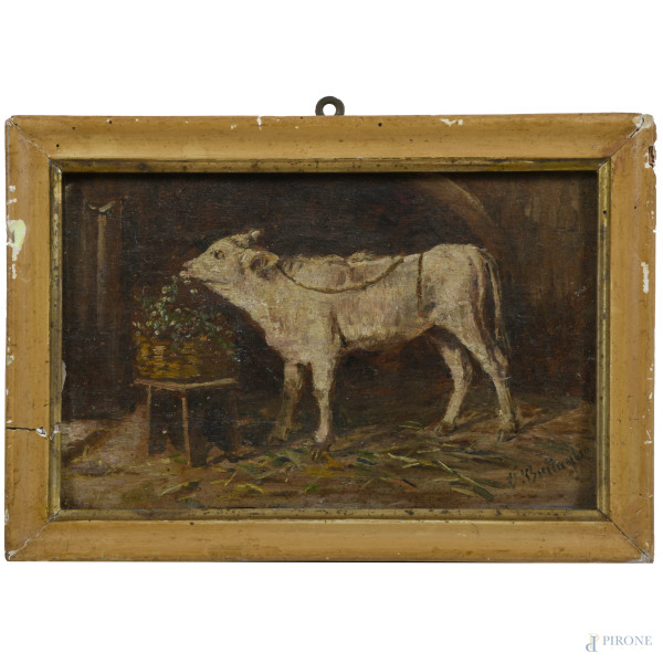 Domenico Battaglia (1842-1904), Vitello nella stalla, olio su tavoletta, cm 14x21, firmato in basso a destra, entro cornice, (segni di usura, abrasioni, supporto imbarcato)