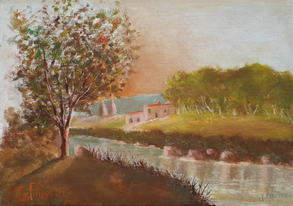 Pittore del Novecento, Paesaggio fluviale, olio su cartone telato, cm 35x25, anni 50, firmato