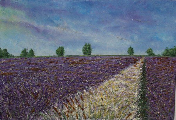 Paola Sardella, Sentieri di colori, tecnica mista su tela, 40x60 cm, entro corncie