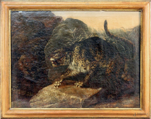 Pittore del XVIII sec,Leopardo contro leone, olio su tela 55x75 cm, entro cornice.