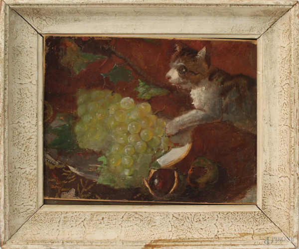 Natura morta con gatto, olio su tela applicata su cartone, cm 22x28, entro cornice.