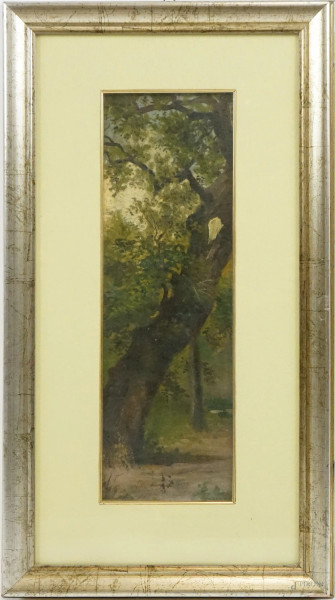Villa Borghese, olio su tela riportata su tavola, cm 46x15, firmato, entro cornice