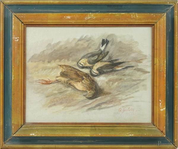 Natura morta con uccelli, olio su cartone telato, firmato in basso a destra A. Sirletti, cm 30x39,7, entro cornice