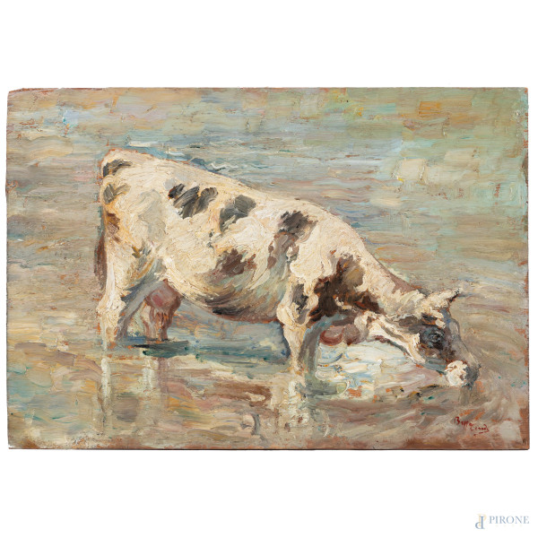 Mucca al pascolo, XX secolo, olio su tavoletta, cm 36,5x52, firmato in basso a destra, (segni di usura e scalfiture ai margini del supporto)