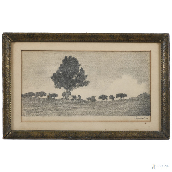 Bufali, XX secolo, grafite su carta, cm 15x25 compreso passepartout, firmato in basso a destra, entro cornice, (lievi ossidazioni della carta, ondulazioni)