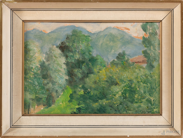 Paesaggio con profilo montano, XX secolo, olio su compensato, cm 23x33, firmato in basso a sinistra, entro cornice
