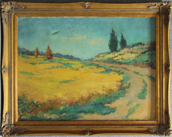 Paesaggio con sentiero, olio su tela, 60x80 cm, entro cornice firmato.