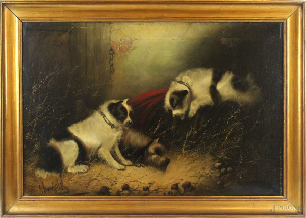 Esterno con cani, olio su tela, cm 51x76, firmato, entro cornice