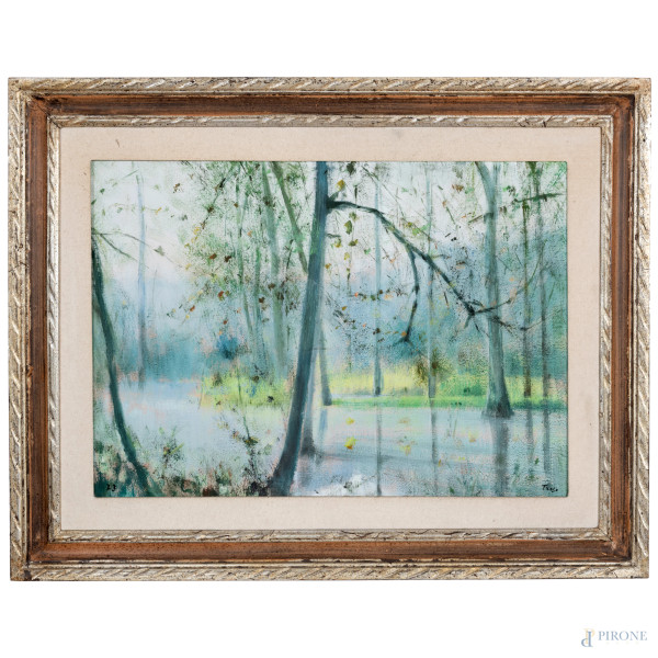 Paesaggio, olio su tela, cm 50x71 firmato in basso a destra, entro cornice