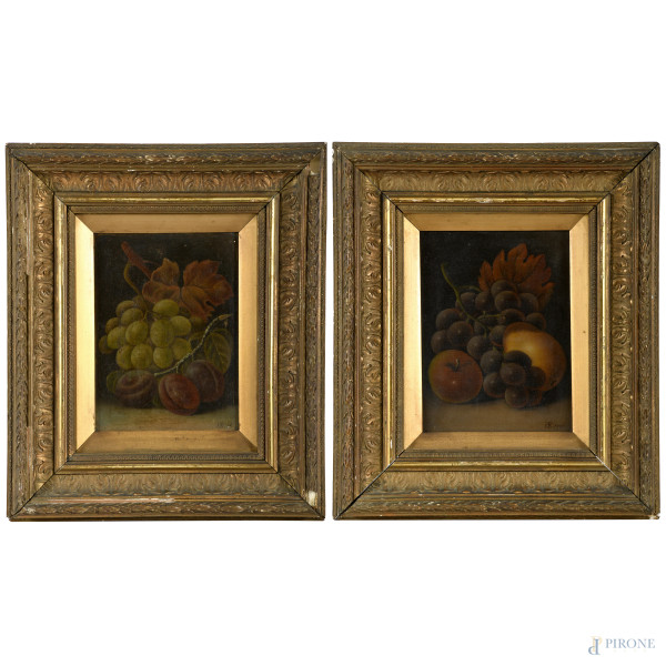 Coppia di nature morte, olio su tela, XIX secolo, anagrammato HS in basso, cm 36x31 entro cornice