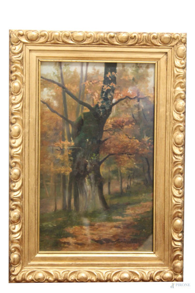 Scorcio di bosco, olio su tela, 38x23 cm, entro cornice firmato G.Malesci