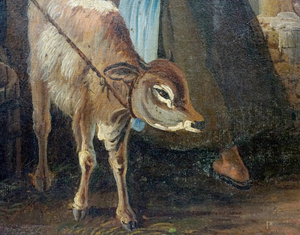 Pastorella, XIX secolo, olio su tela applicata su cartone, cm 50x33, firmato, entro cornice, (dif...