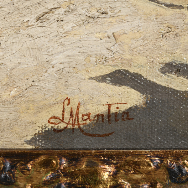 Scorcio di costa, XX secolo, olio su tela, cm 25x46, firmato in basso a destra, entro cornice, (c...