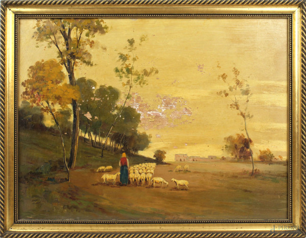 Paesaggio con pastorella e gregge, olio su faesite, cm 29x40, XX secolo, entro cornice, (cadute di colore)