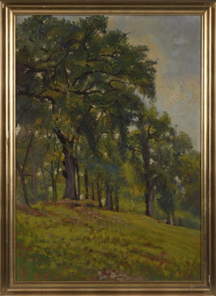Paesaggio boschivo, olio su compensato, XIX-XX secolo,  cm 96x67, entro cornice, (difetti)