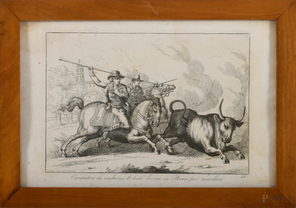 Lotto di 24 incisioni di Bartolomeo Pinelli, cm 23x36 entro cornice, (difetti, gore e tracce di u...