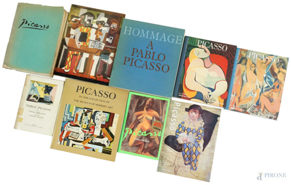 Lotto composto da 9 libri su Pablo Picasso