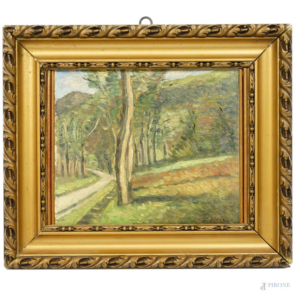 Alberi, olio su cartoncino, firmato in basso a destra, cm 19x21, entro cornice