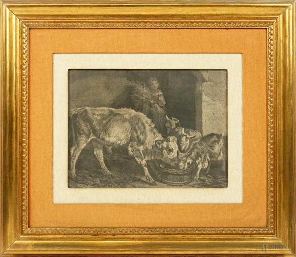 Vitello e capre, incisione, cm 25x34, incisore Francesco Di Bartolo (Catania, 1826-1913), inventore Filippo Palizzi (1818-1899), entro cornice