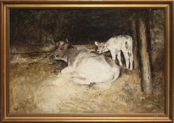 Interno di stalla con mucche e vitello, olio su tela, cm 69x99, firmato Locatelli, entro cornice.