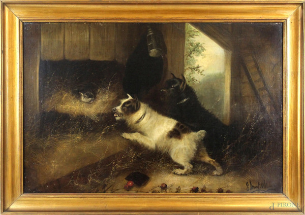 Interno di stalla con cani e gatto, olio su tela, cm 51x76, firmato, entro cornice