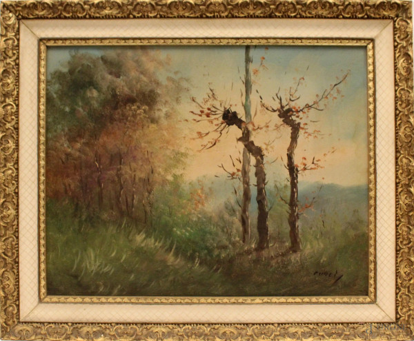 Paesaggio con alberi, olio su masonite, cm 40x50, firmato, entro cornice.