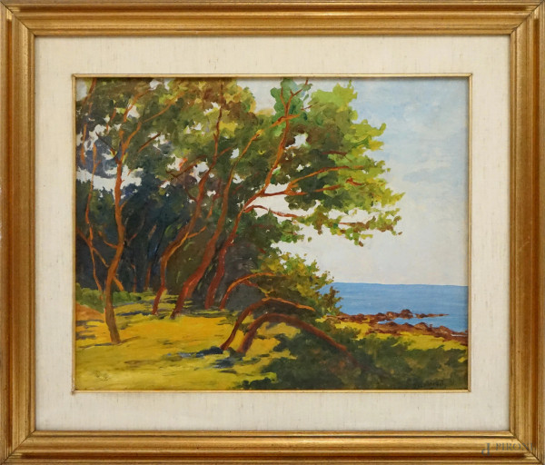 Veduta costiera, olio su cartone, cm 38x48, firmato Zustovich, entro cornice