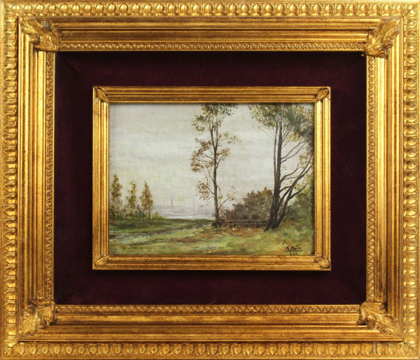 Paesaggio, olio su tavola, cm 16x20,5, firmato, D. Motta, entro cornice