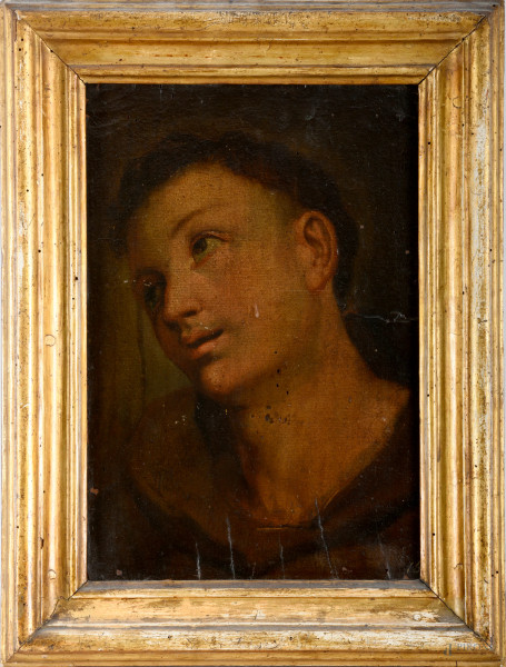 Testa di santo francescano, olio su tela applicato su tavola, cm 39,5x27 entro cornice, XIX secolo, (difetti)