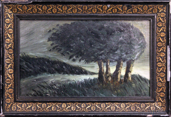 Paesaggio con alberi, olio su cartone, cm 29x24, entro cornice firmato.