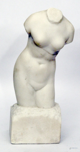 Torso di donna