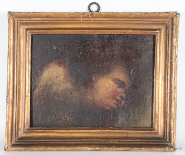 Volto di cherubino, XVIII secolo, olio su tela applicata su cartoncino, cm 21x28, entro cornice, (segni di usura, lacerazioni, cadute di colore, difetti)