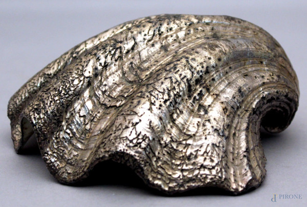 Conchiglia bagnata in argento, cm 8,5x24.