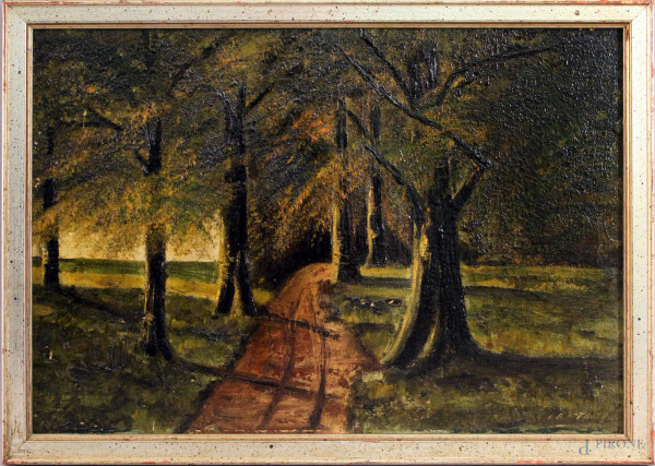 Sentiero nel bosco, olio su cartone telato, cm. 29x42, firmato, entro cornice.