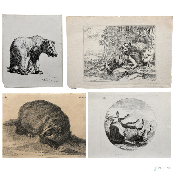 Lotto di quattro incisioni raffiguranti animali, XVIII-XIX secolo, misure massime cm 21x30 (segni di usura, tracce di umidità, gore, foxing, lacerazioni della carta, tracce di piegatura)