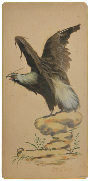 J.P. Vieillot, Aquila reale, dipinto a tecnica mista e piume su cartone del XIX sec., cm 11x21, firmato 
