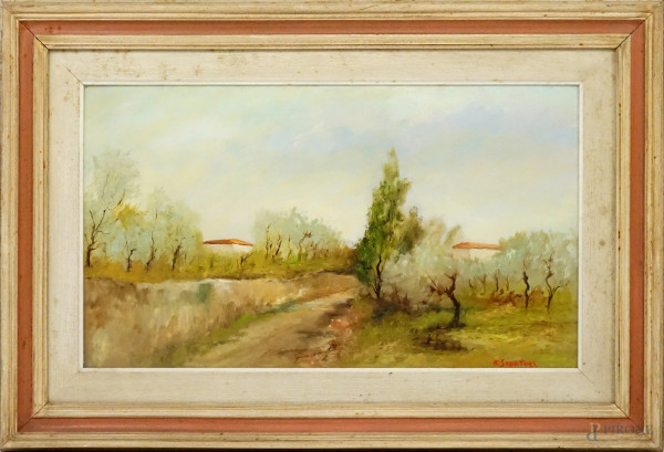 Ulivi, olio su masonite, cm 41x71, firmato R.Senatori, entro cornice