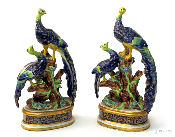 Coppia di sculture in porcellana Sevres raffiguranti pavoni, H 25 cm, primi &#39;900.