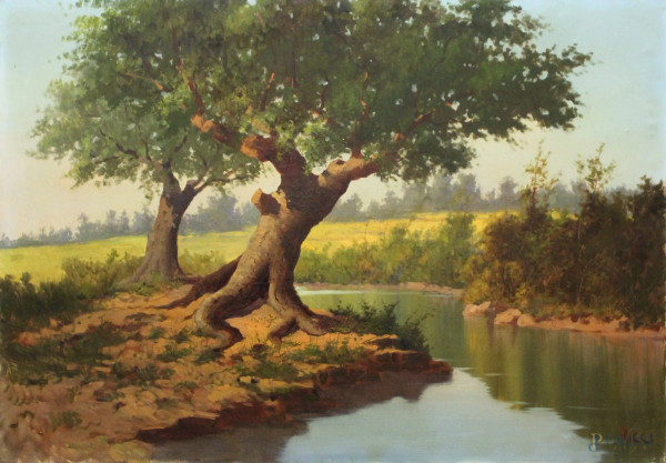 Paesaggio fluviale con albero, olio su tela, cm 150x100, firmato Ricci.