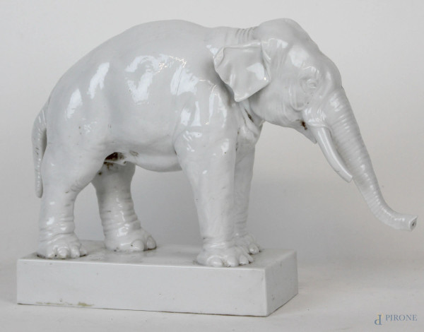 Scultura in porcellana bianca raffigurante elefante, cm h 22, marcata, XX secolo.