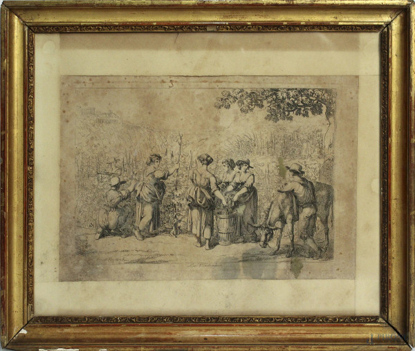 La vendemmia, antica incisone del Pinelli, cm 23 x 33, entro cornice.