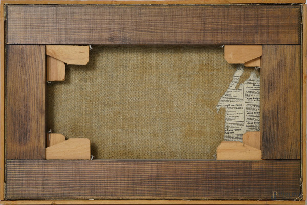 Le spine del sud, matita e acquerello su carta incollata su tela, firmato in basso a destra, cm 2...