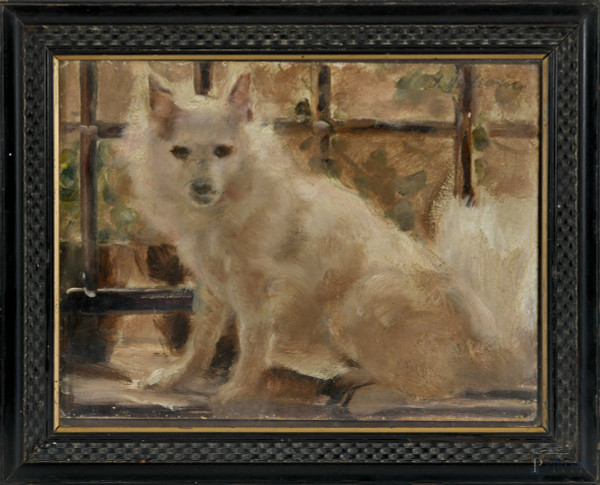 Cane, XX secolo, olio su cartone, cm 30x40, firmato in alto a sinistra, entro cornice