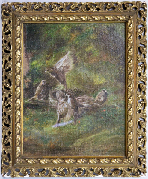 Nido con uccelli, olio su tavola, 40x30 cm, entro cornice a firma Postiglione
