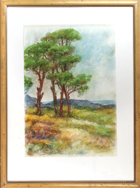 Paesaggio con alberi, pastello su carta, cm 48x33, firmato Piccolo, entro cornice