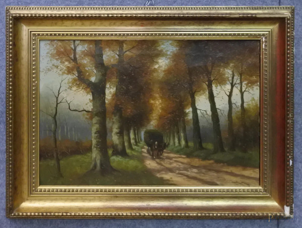 Paesaggio boschivo con carro e figure, olio tela 53x35 cm, entro cornice, Olanda primi 900