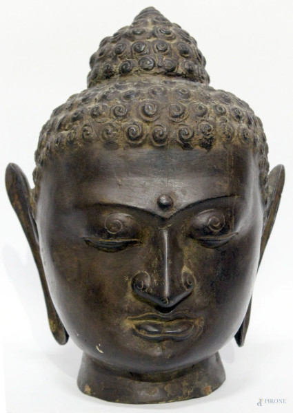 Testa del Buddha, scultura in  bronzo brunito, h.34 cm, Cina inizi XIX° sec.
