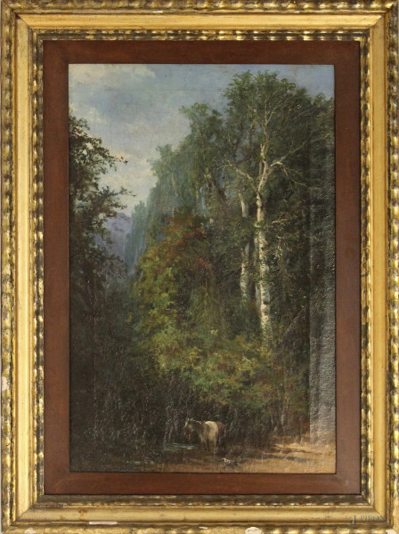 Filiberto Petiti - Filiberto Petiti, Paesaggio boschivo con cavalli, dipinto ad olio su tela, cm 50 x 33.